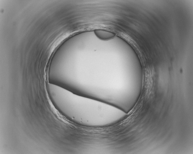 X0000056371047200508260915