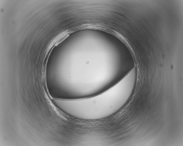X0000056371050200508260915