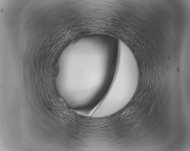 X0000056371057200508260915