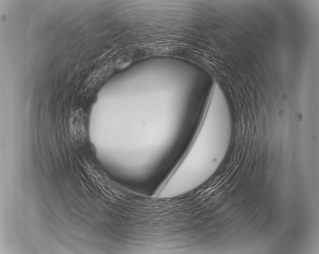 X0000056371058200508260915
