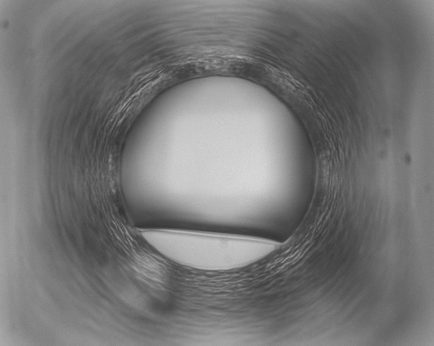 X0000056371060200508260915