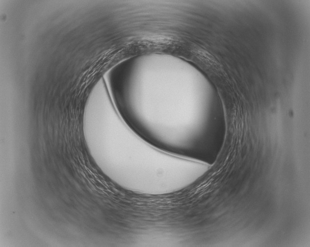 X0000056371061200508260915