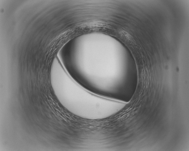 X0000056371062200508260915