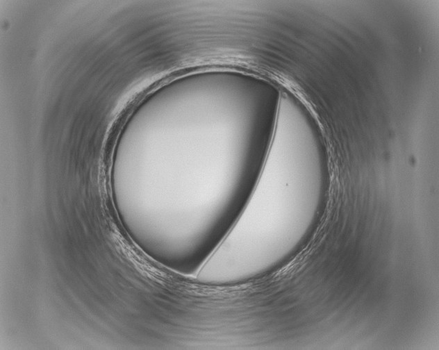 X0000056371072200508260914