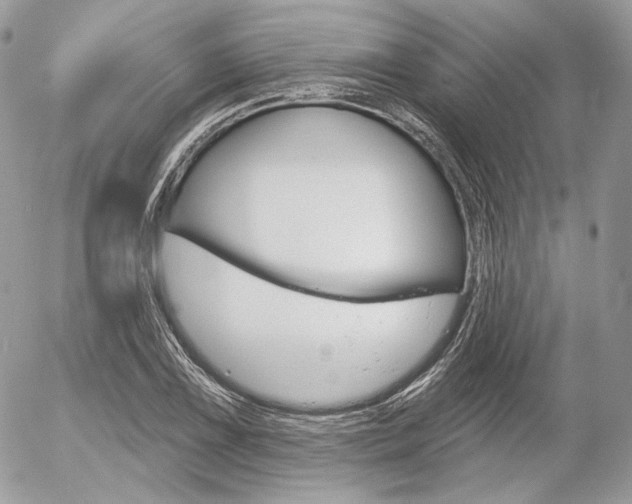 X0000056371075200508260914