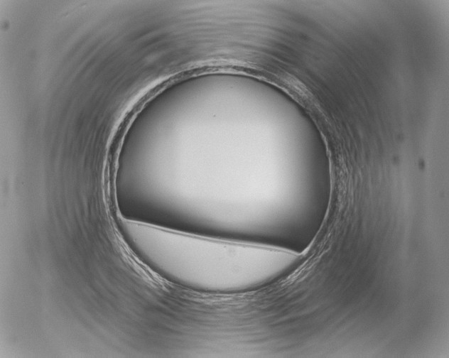 X0000056371076200508260914