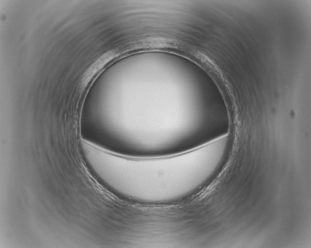 X0000056371081200508260914