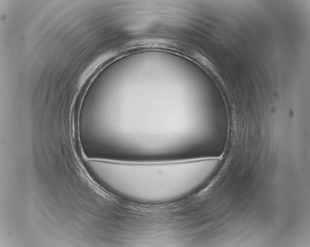 X0000056371082200508260914