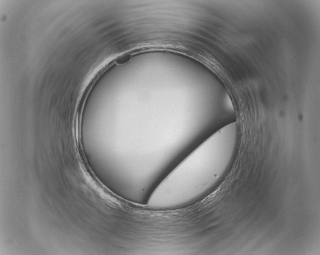 X0000056371084200508260914