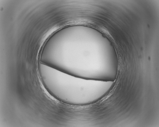 X0000056371087200508260914