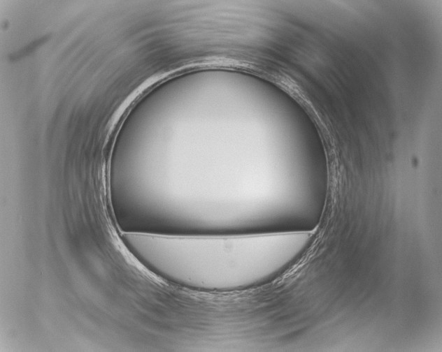 X0000056371092200508260914