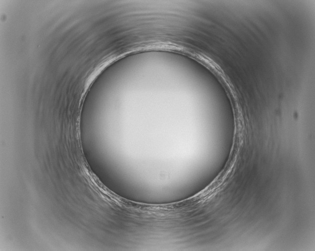 X0000056371097200508260914