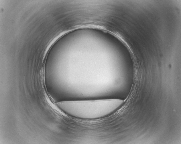 X0000056371100200508260914