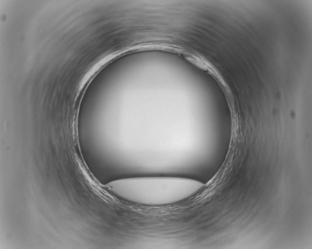 X0000056371101200508260914