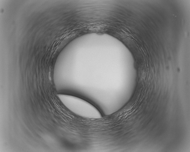 X0000056371106200508260913