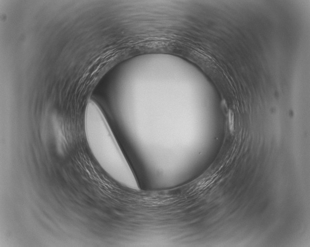 X0000056371107200508260913