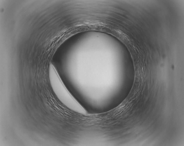 X0000056371110200508260913