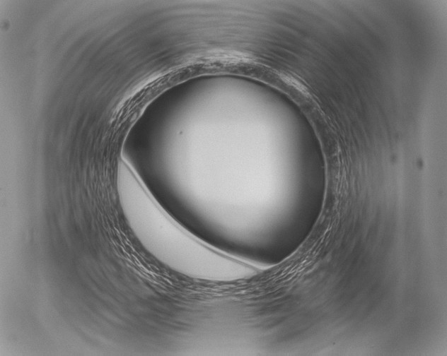 X0000056371112200508260913
