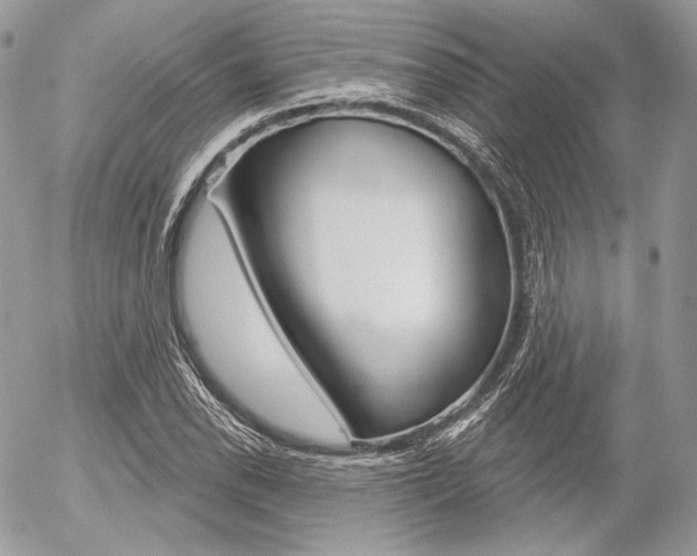X0000056371118200508260913
