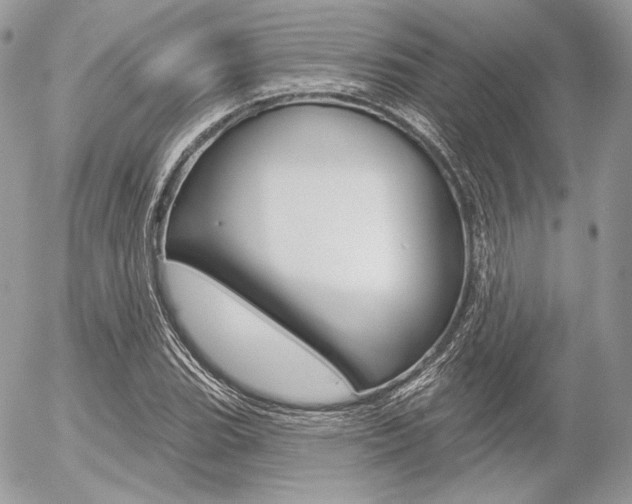 X0000056371119200508260913