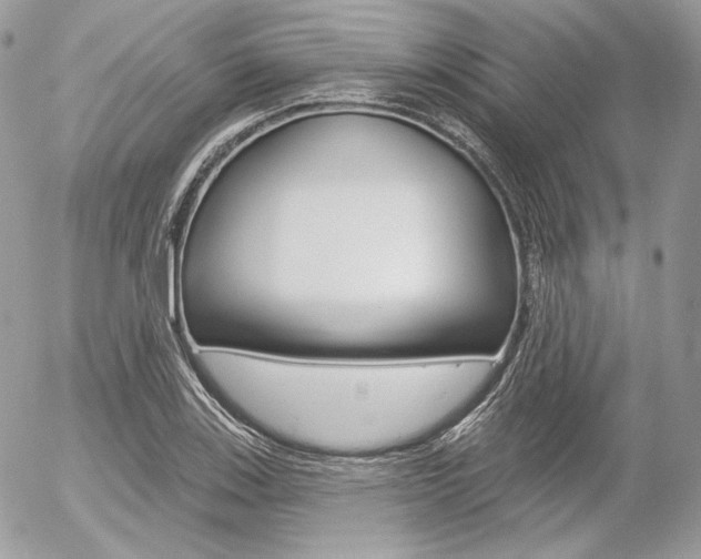 X0000056371123200508260913