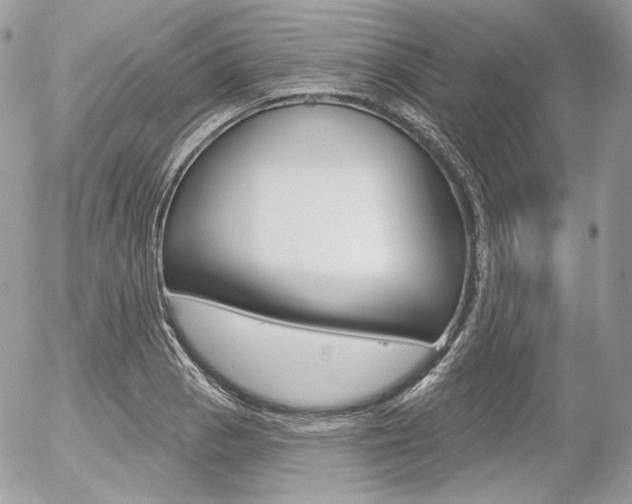 X0000056371129200508260913