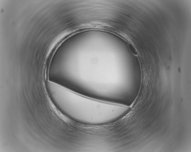 X0000056371131200508260914