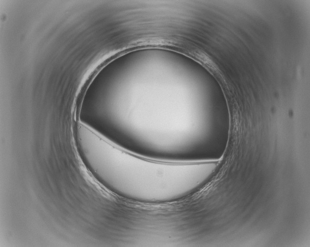 X0000056371132200508260914