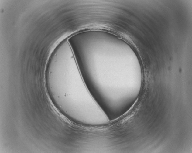 X0000056371133200508260914