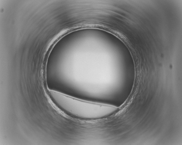 X0000056371134200508260914