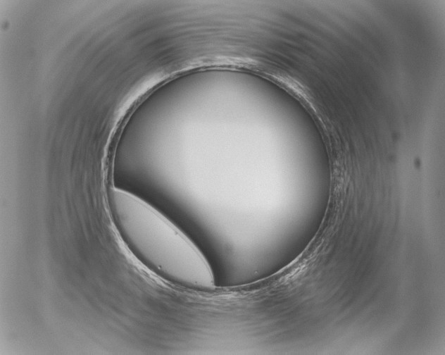 X0000056371135200508260914
