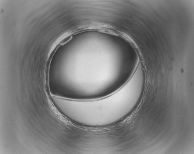 X0000056371138200508260914