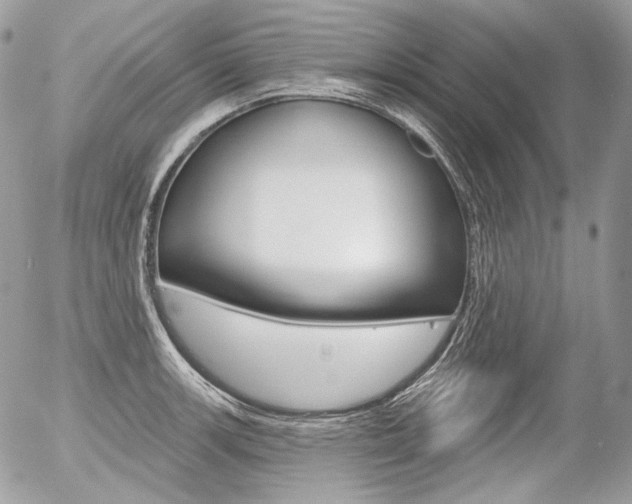 X0000056371139200508260914