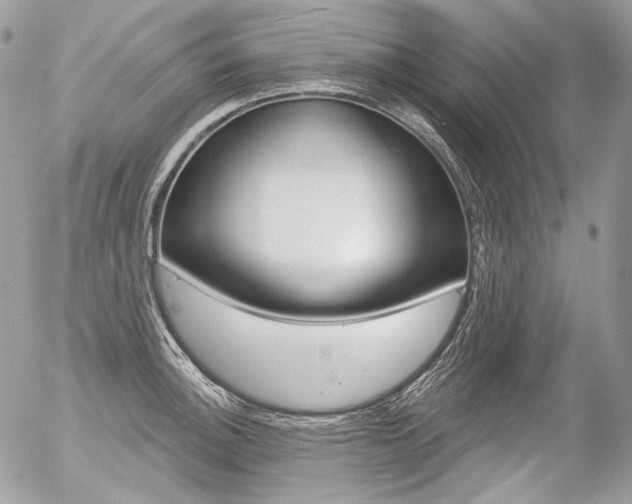 X0000056371140200508260914