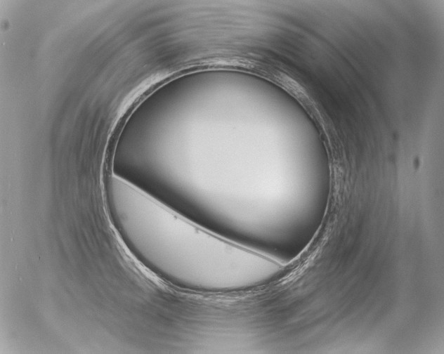 X0000056371141200508260914