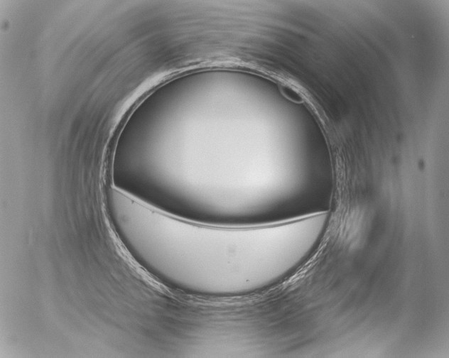 X0000056371142200508260914