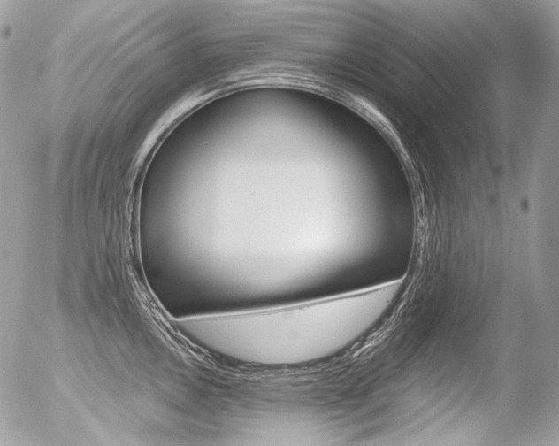 X0000056371146200508260914