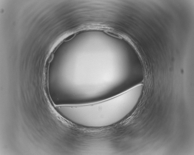 X0000056371147200508260914