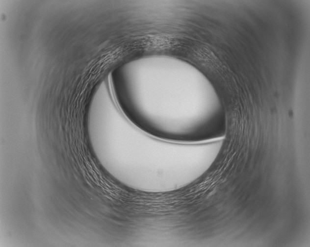 X0000056371153200508260913