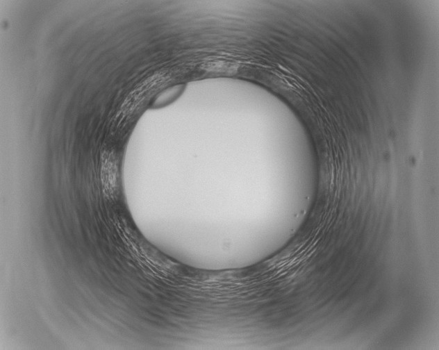 X0000056371154200508260913