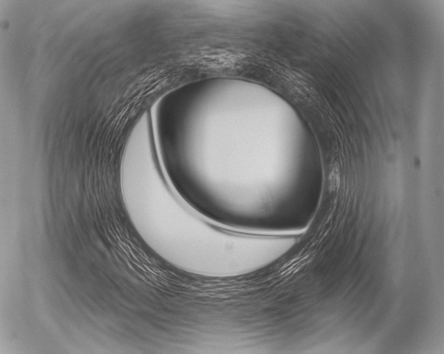 X0000056371156200508260913