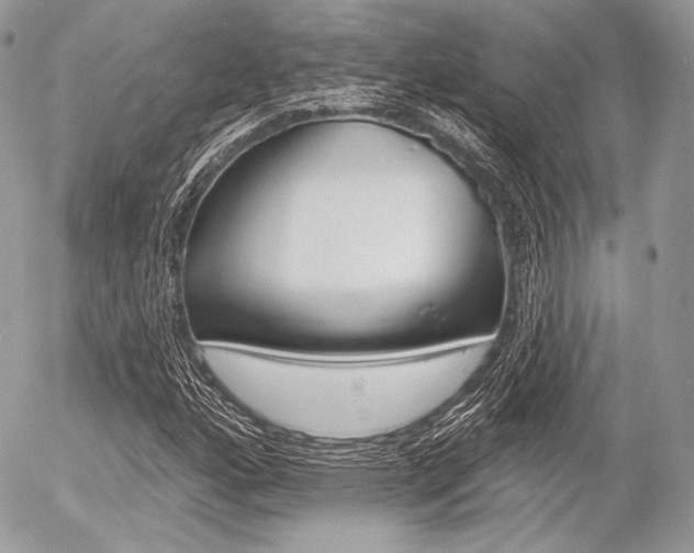 X0000056371160200508260913