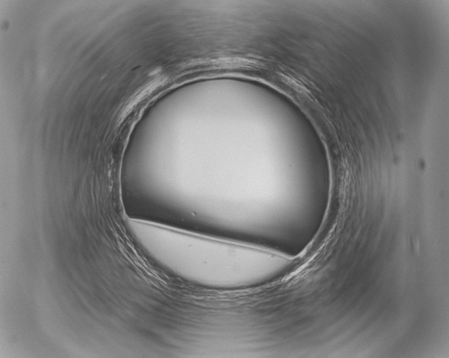 X0000056371163200508260913