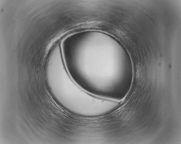 X0000056371164200508260913