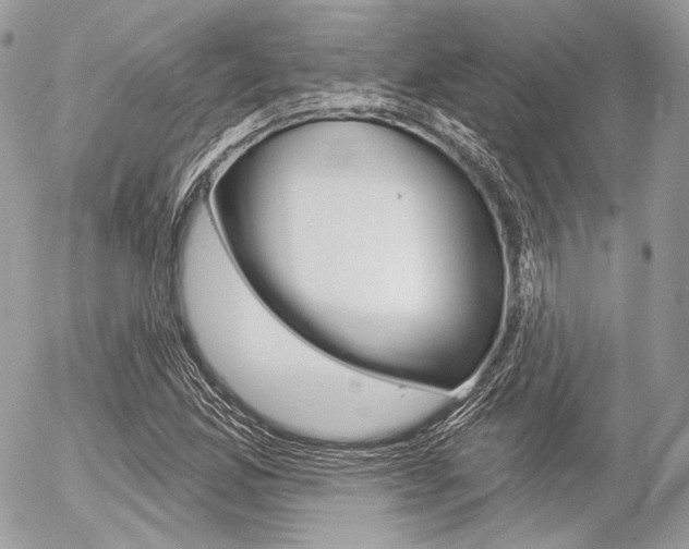 X0000056371165200508260913