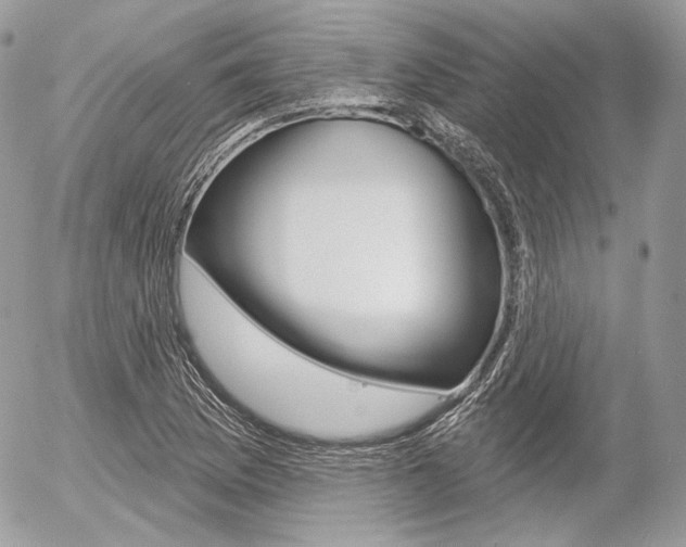 X0000056371169200508260913