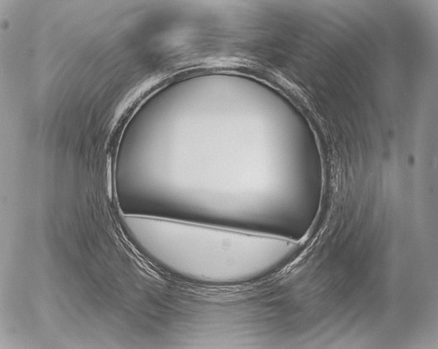 X0000056371171200508260913