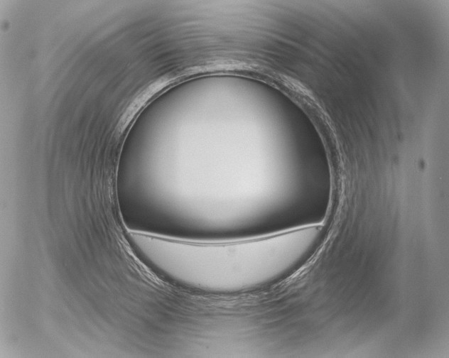 X0000056371177200508260913