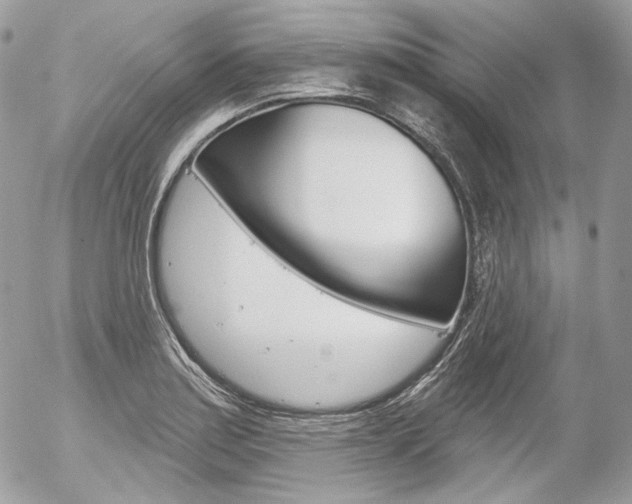 X0000056371179200508260913