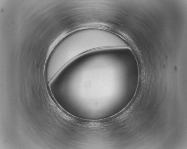X0000056371180200508260913